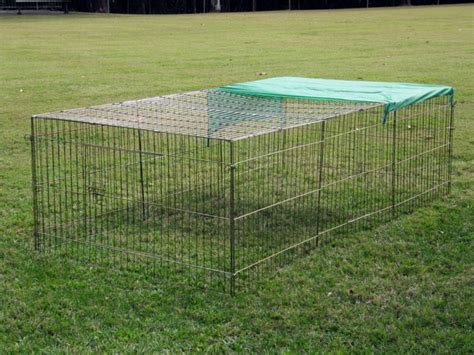 chicken wire rabbit run